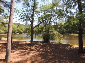 68 Lawton Road 3 Bedroom Cabin Rental