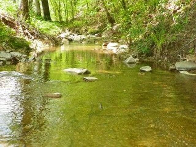 Willowbrook creek