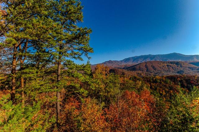 Pigeon Forge Weddings_A Walk in the Clouds_Smoky Mountain View