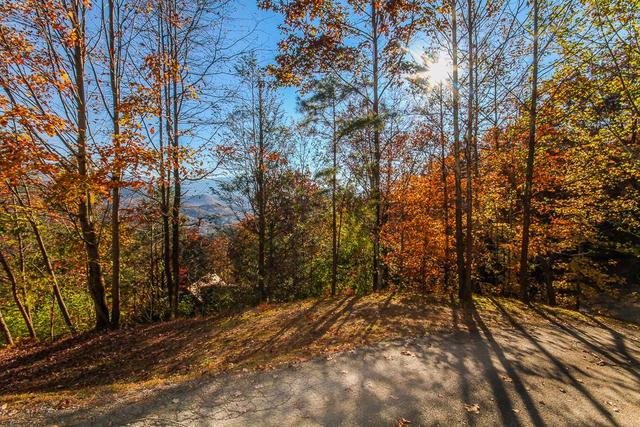 Pigeon Forge Weddings_A Walk in the Clouds_Wooded Privacy