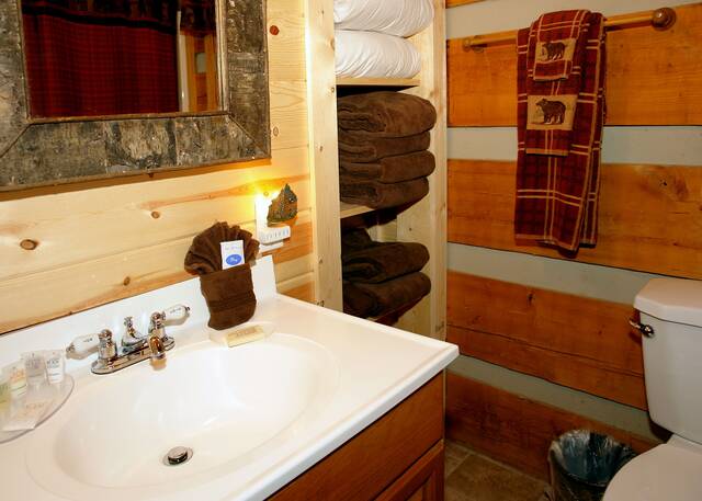 Gatlinburg Cabin Rentals_Sleepy Bear_full bath with tub shower