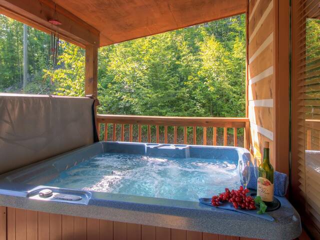 Cabin with hot tub