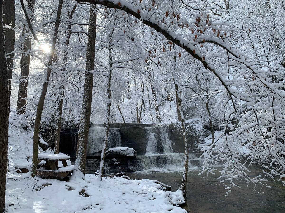 Allegheny Falls Mountain View #2