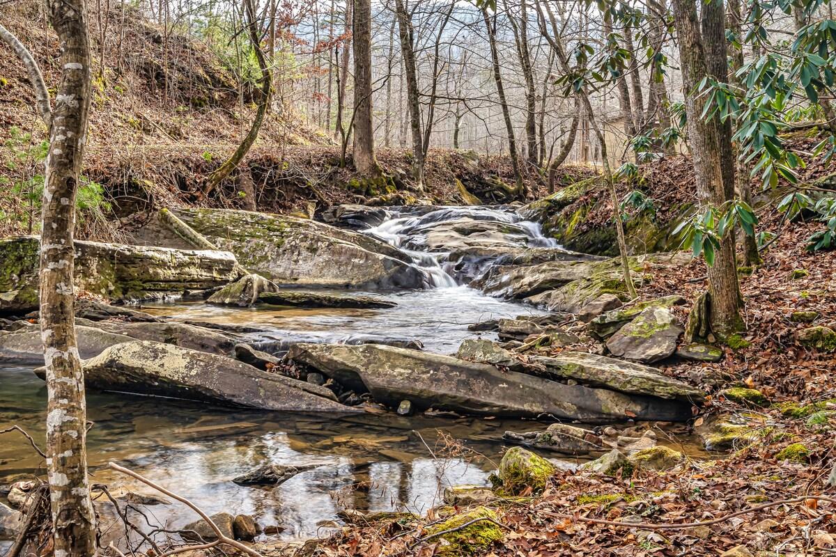 Allegheny Falls Mountain Escape #1