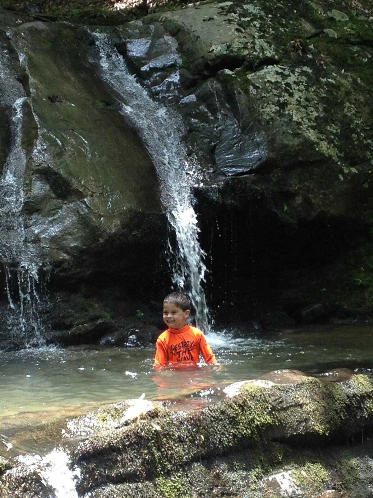 Allegheny Falls Mountain Escape #1