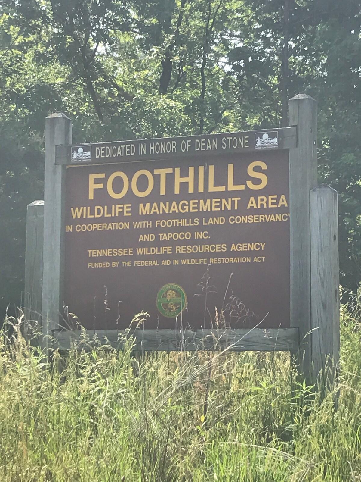 Allegheny Falls Mountain Escape #1
