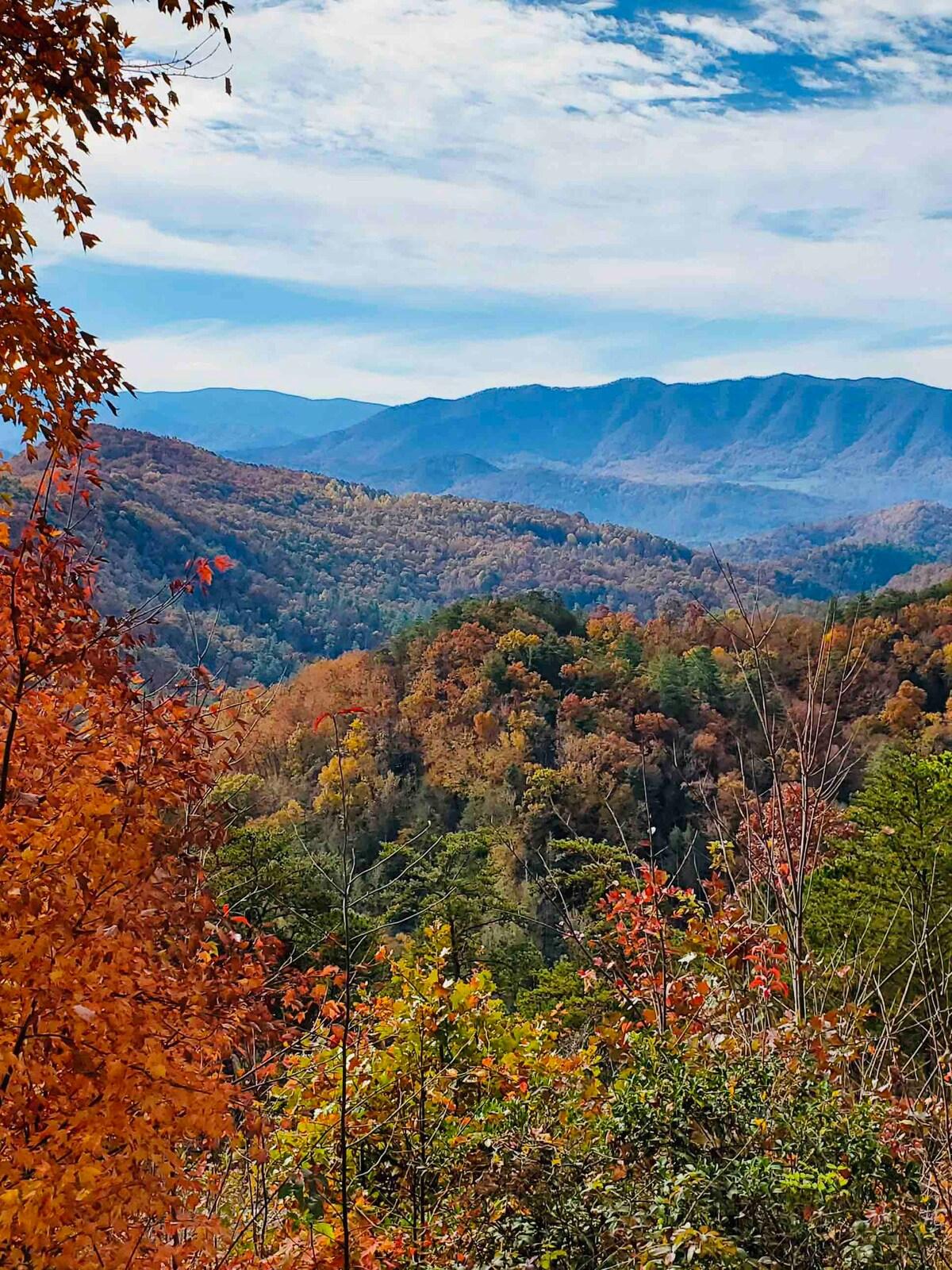 Allegheny Falls Mountain Escape #1