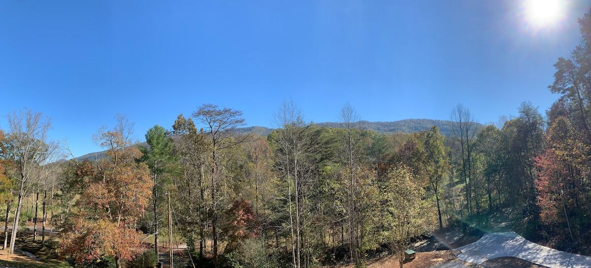Allegheny Falls Mountain View #2