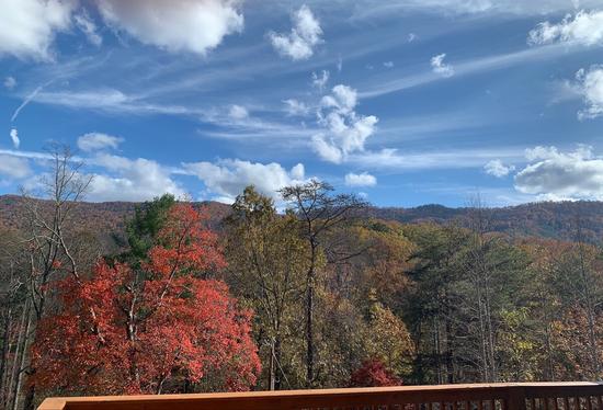 Allegheny Falls Mountain View #2