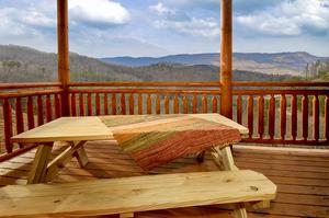 A Beary Special View