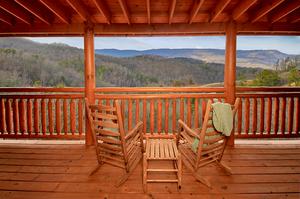 A Beary Special View
