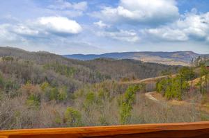 A Beary Special View
