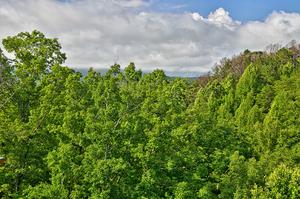 Heavenly Retreat Lodge