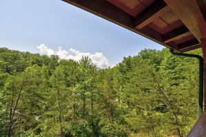 Honey Hole Hideaway