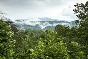 Dreamer's Ridge