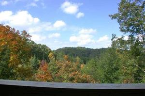 Hawk's View