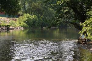 Rollin' on the River