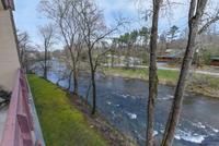 CEDAR LODGE 205