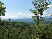SUMMER VIEW
