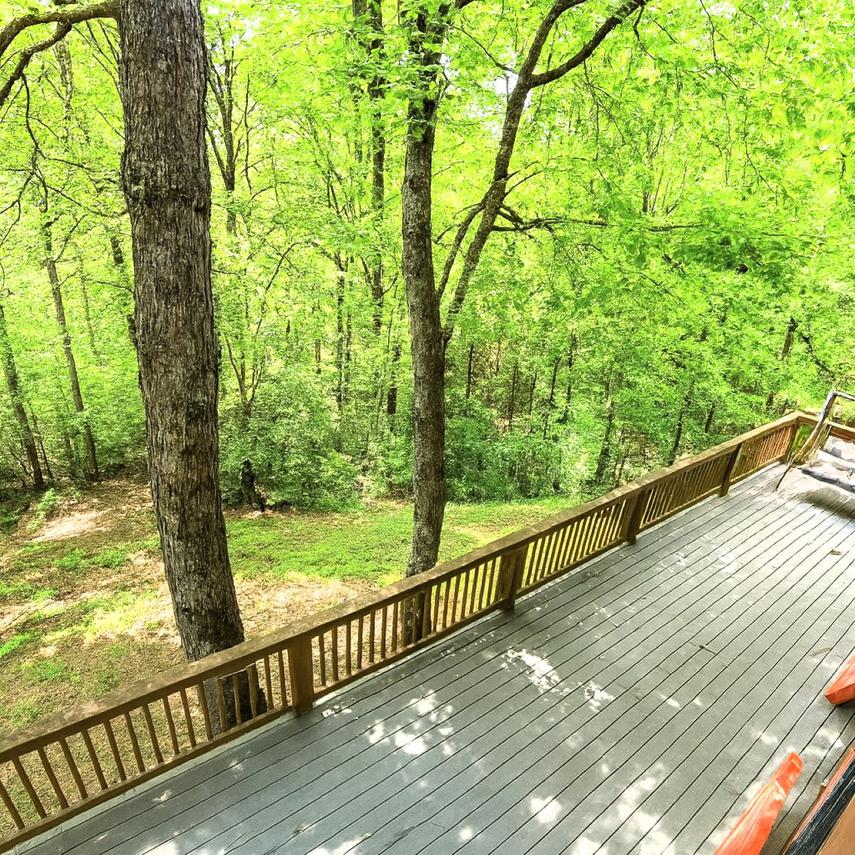 Wandering Bear Lodge