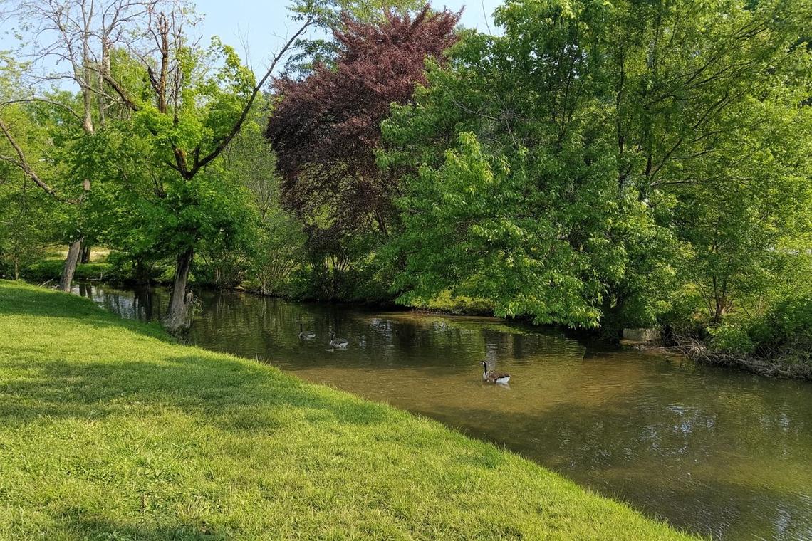 Mountain Stream