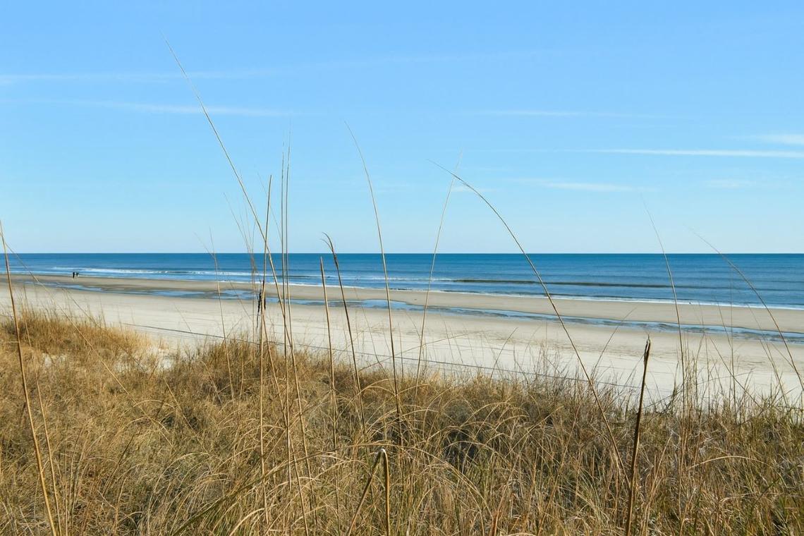 Afterdune Delight