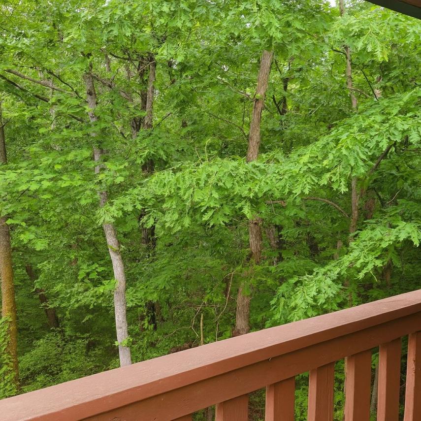 Smoky Mountain Getaway