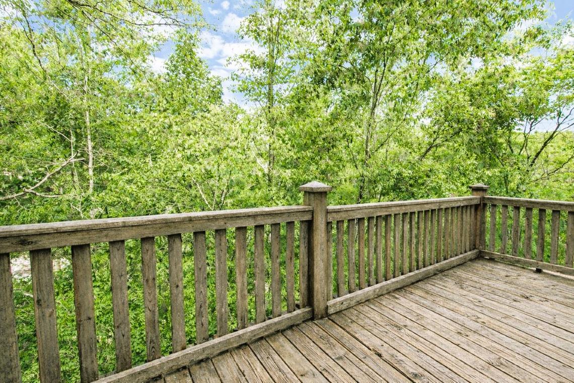 Adorable Shut'er Inn