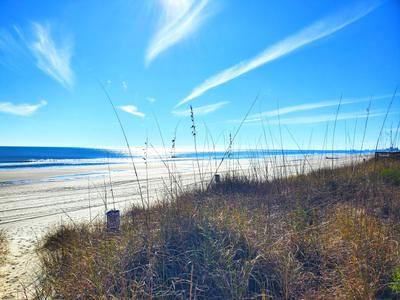 Afterdune Delight