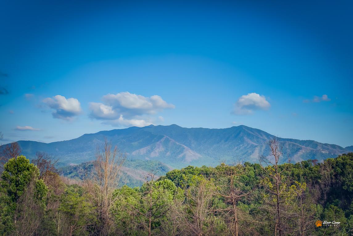 Majestic View Lodge 