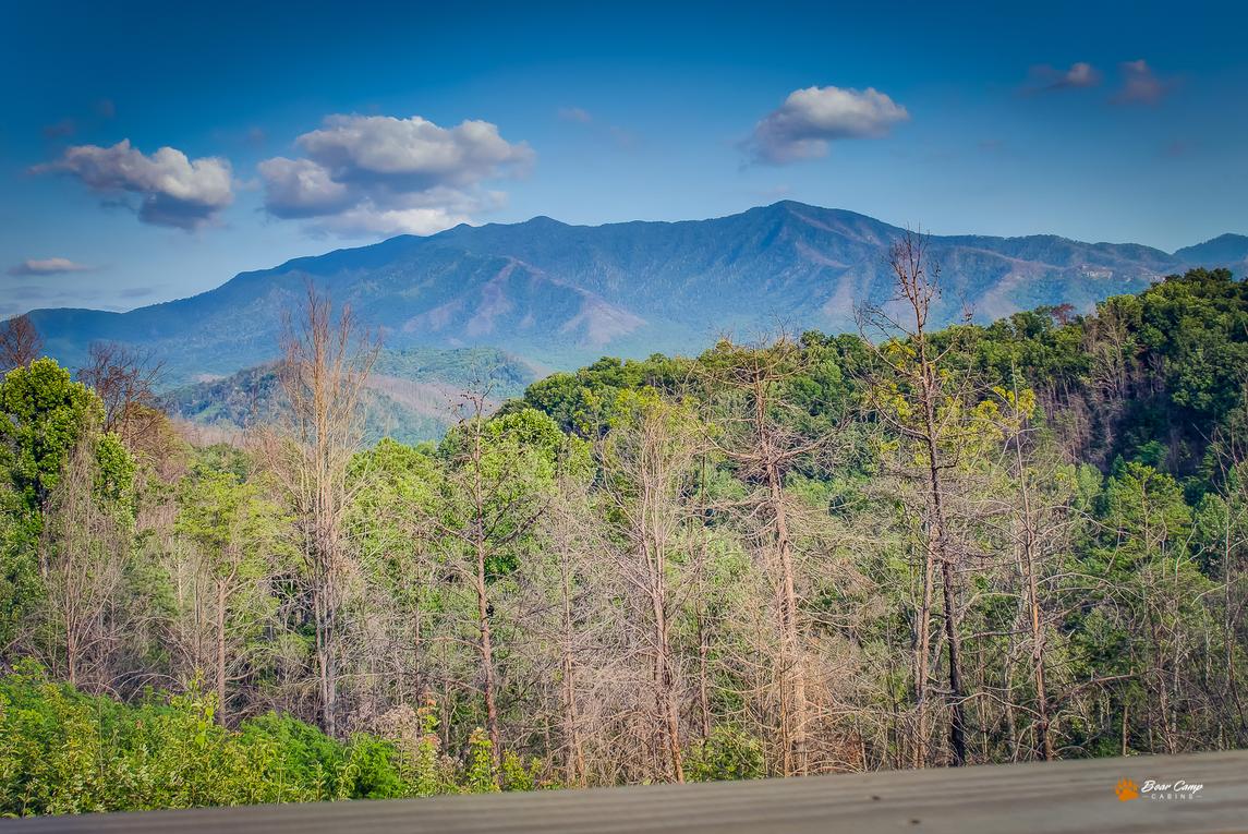 Majestic View Lodge 