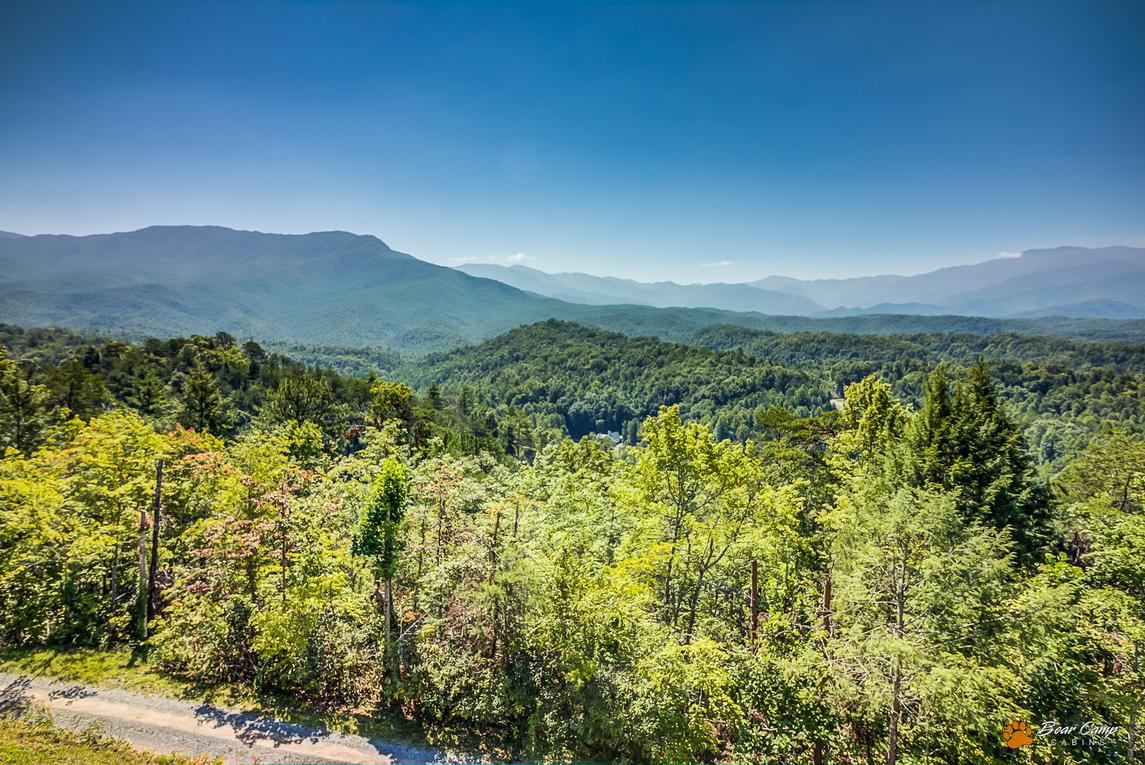 LeConte Mountain Lodge 