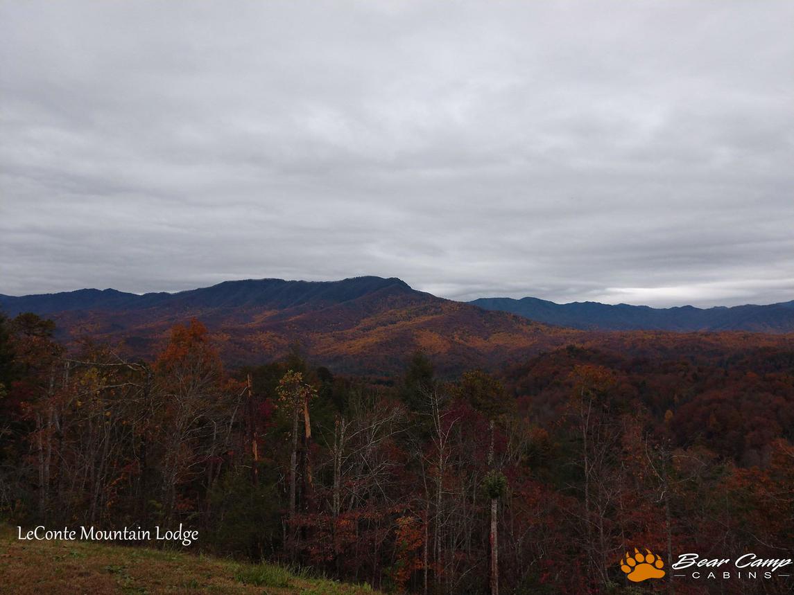 LeConte Mountain Lodge 