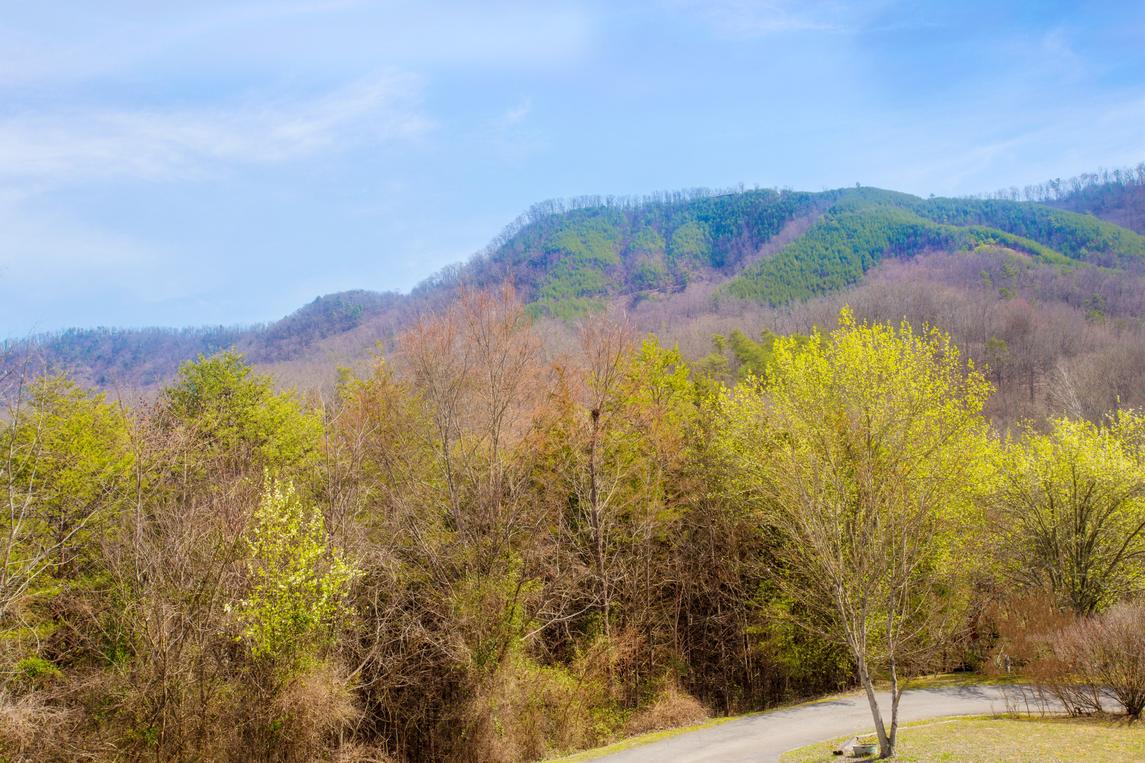 Smoky Bear Lodge with Guest House