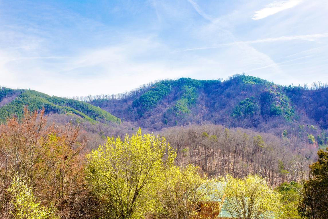 Smoky Bear Lodge with Guest House