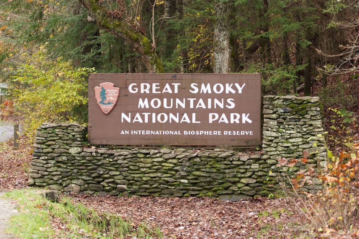 Smoky Mountain Gem 