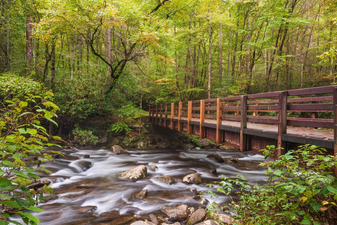 Great Smoky View