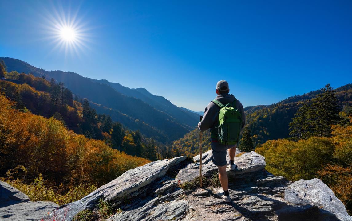 Great Smoky View