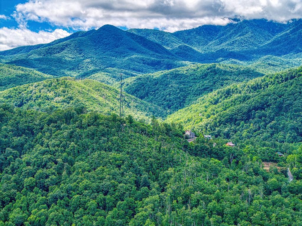 Great Smoky View