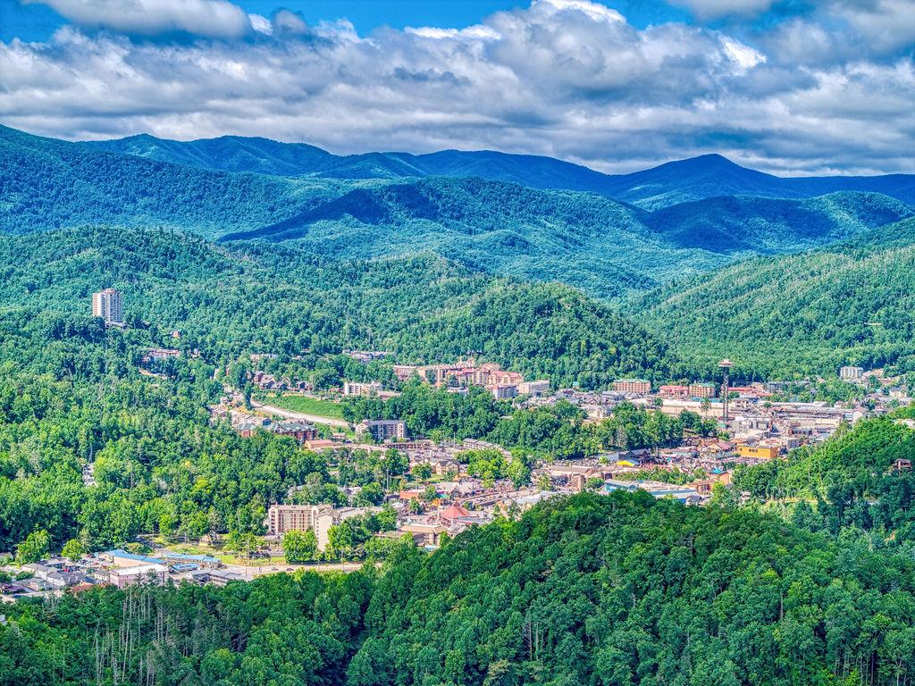 Great Smoky View