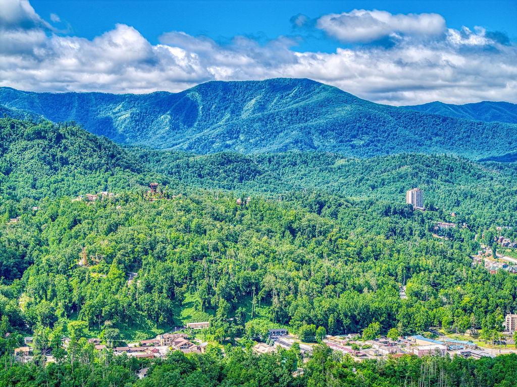 Great Smoky View