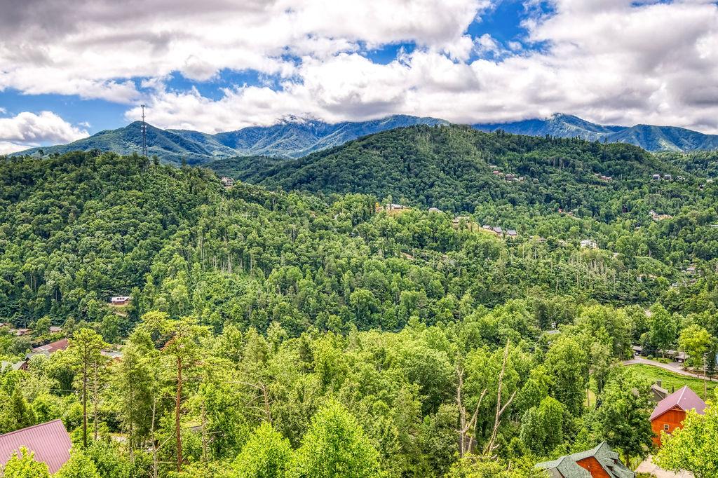 Great Smoky View