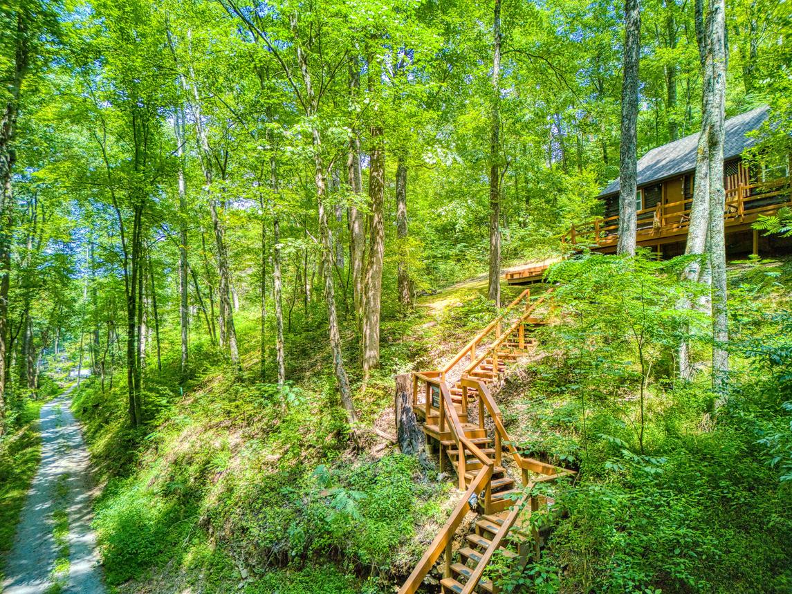 Cove Mountain Cabin 