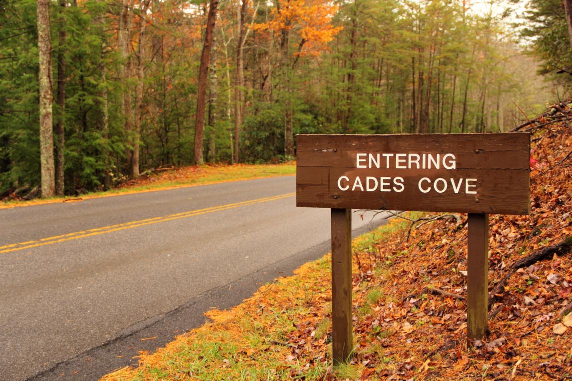 Hidden Haven - New Listing