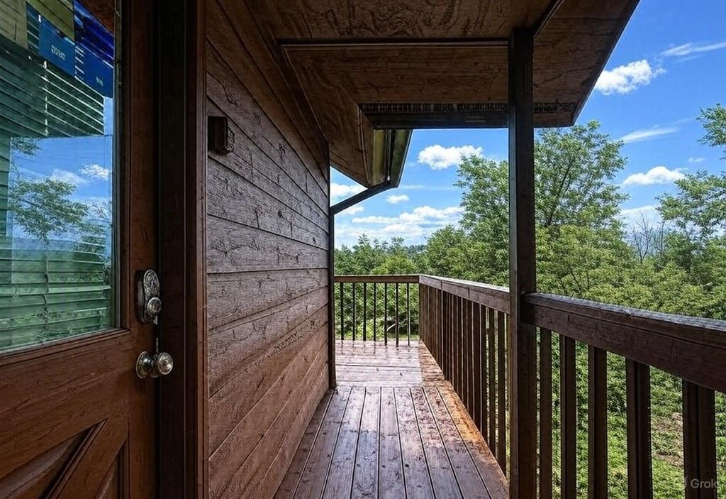 Mountain Laurel Lookout 