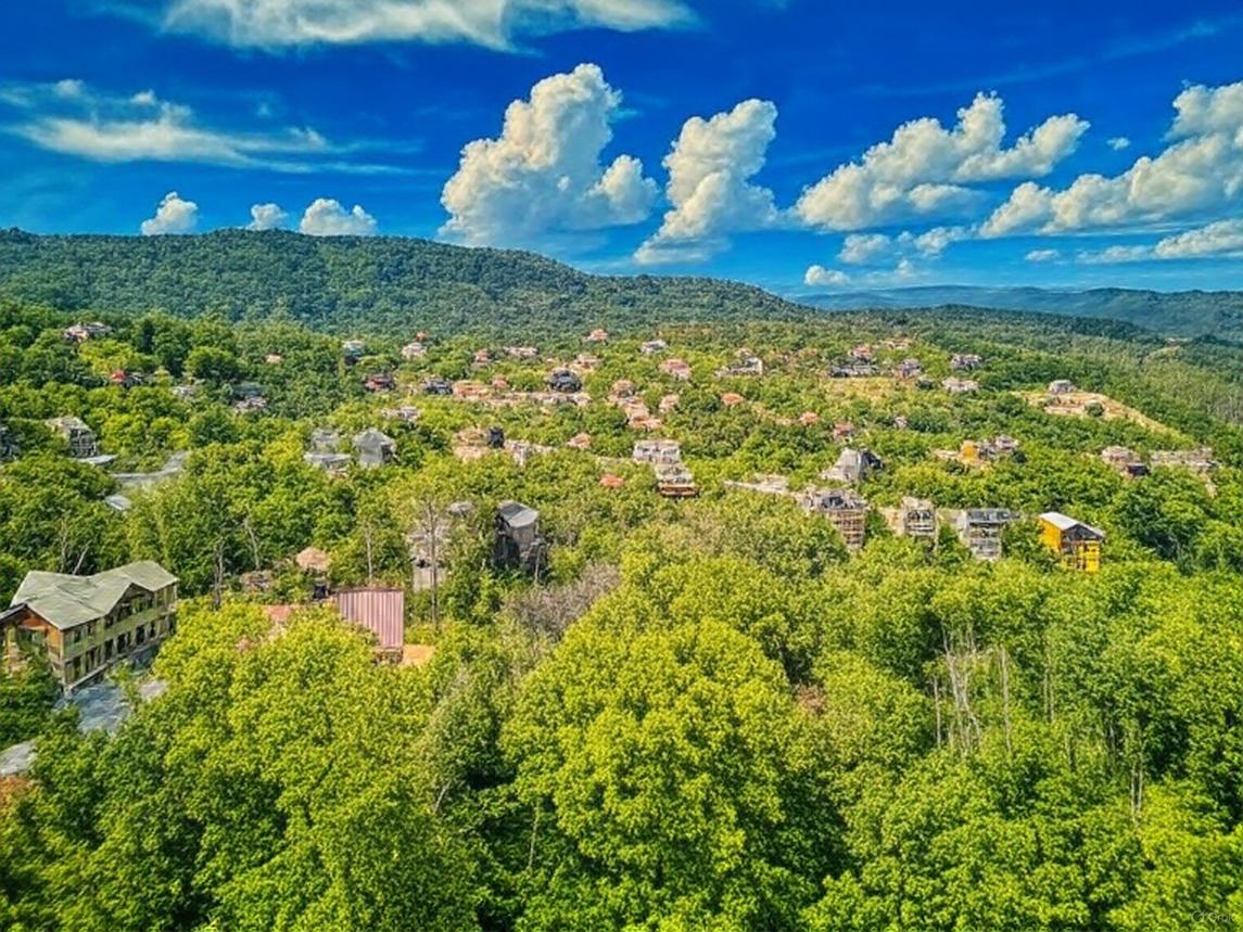 Appalachian Lookout 