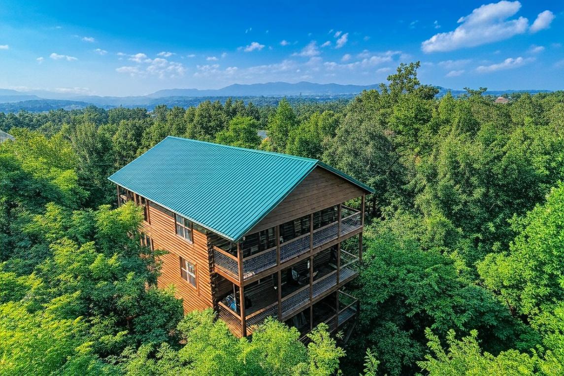 Cozy Bear Lodge 