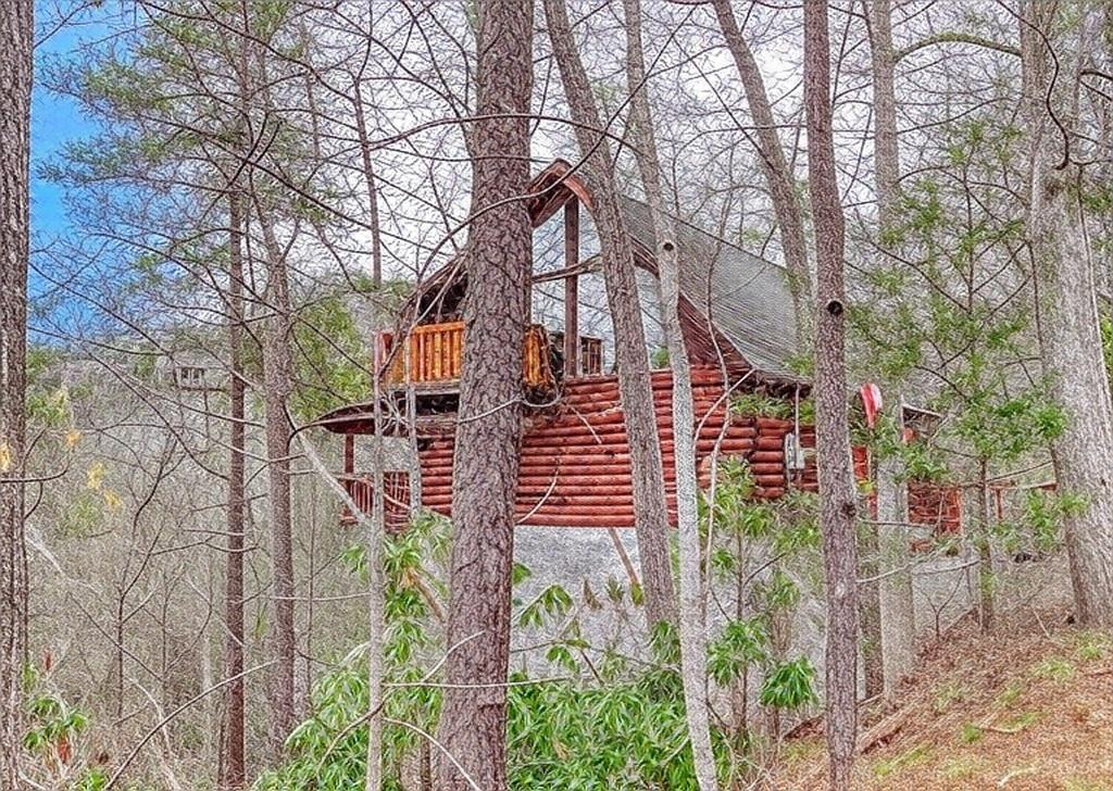 Bucky's Bungalow 