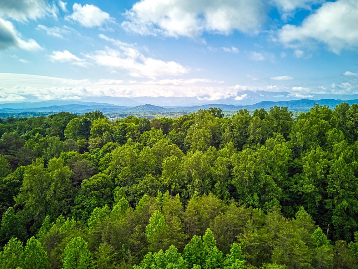 Twin Peaks Unit 2 - New Listing
