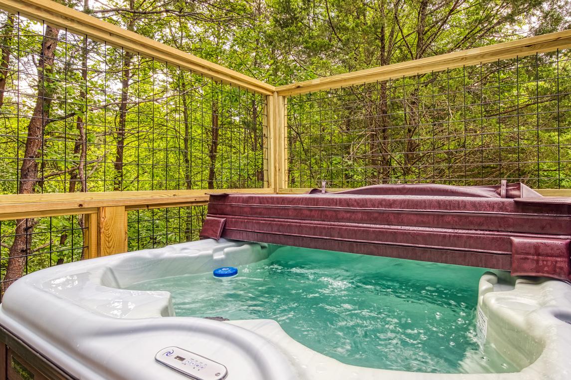 Twin Peaks Unit 1 - New Listing